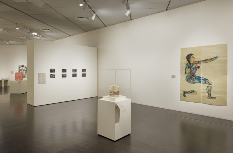 Installation view at Denver Art Museum, 2024.