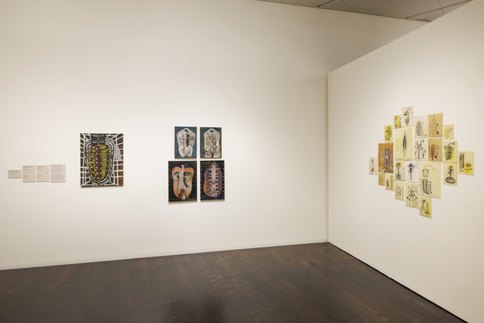 Installation view at Denver Art Museum, 2024.