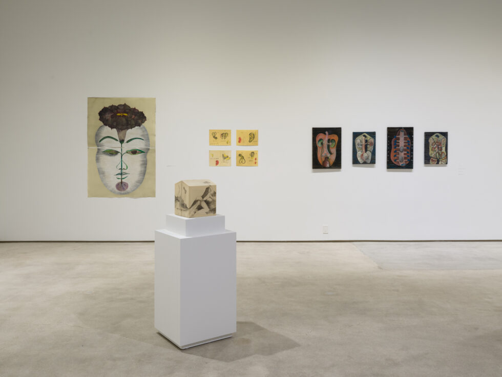 The Awake Volcanoes, Institute of Contemporary Art, Los Angeles, October 11, 2025 – March 1, 2026. Photo: Jeff McLane/ICA LA.