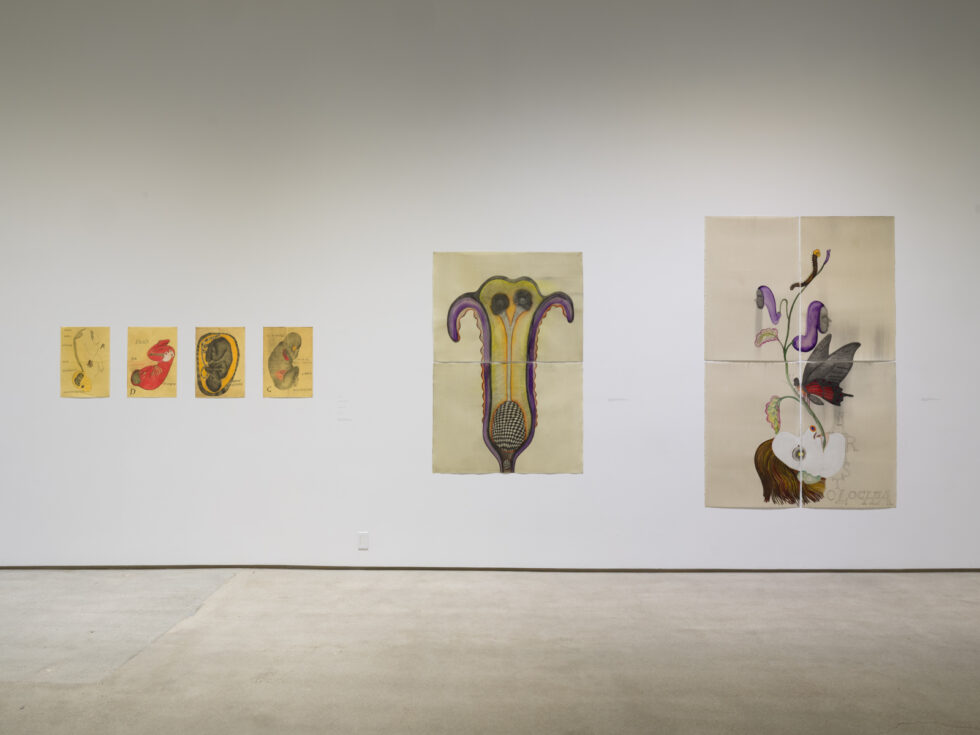 The Awake Volcanoes, Institute of Contemporary Art, Los Angeles, October 11, 2025 – March 1, 2026. Photo: Jeff McLane/ICA LA.