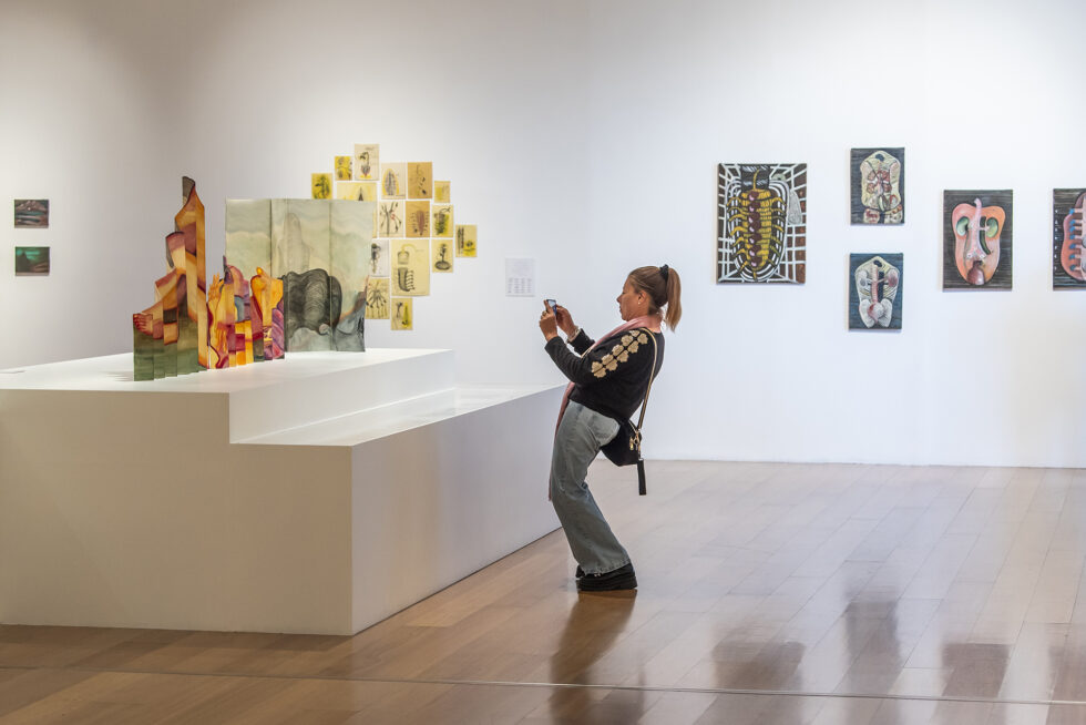 Sandra Vásquez de la Horra, Los volcanes despiertos, 10.04. — 28.07.25, Sala 3, Nivel 1. Foto: © Santiago Ortí / Museo de Arte Latinoamericano de Buenos Aires Malba
