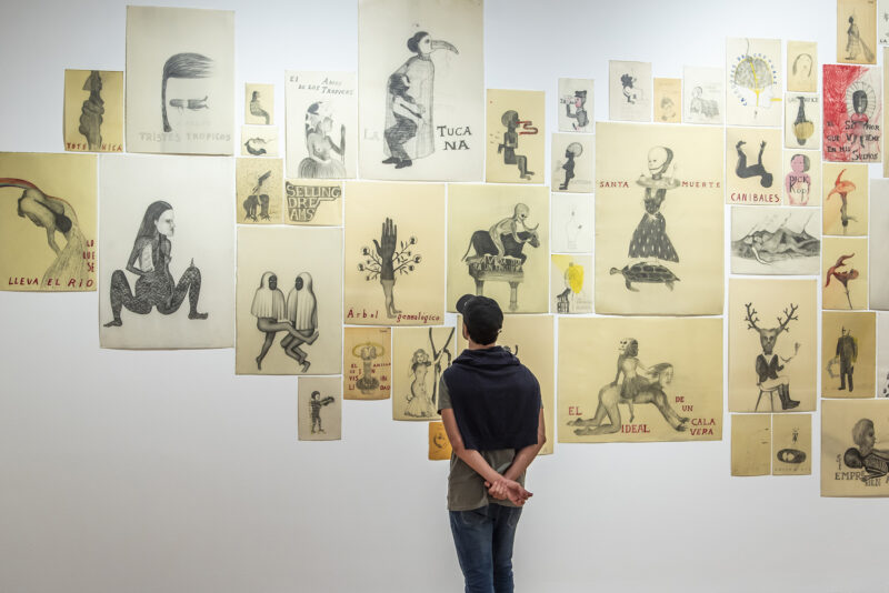 Sandra Vásquez de la Horra, Los volcanes despiertos, 10.04. — 28.07.25, Sala 3, Nivel 1. Foto: © Santiago Ortí / Museo de Arte Latinoamericano de Buenos Aires Malba