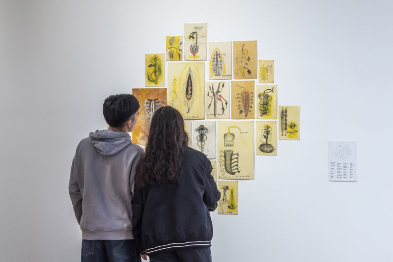 Sandra Vásquez de la Horra, Los volcanes despiertos, 10.04. — 28.07.25, Sala 3, Nivel 1. Foto: © Santiago Ortí / Museo de Arte Latinoamericano de Buenos Aires Malba