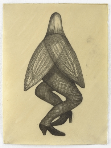 Sandra Vásquez de la Horra, “La Mosca (The Fly)” (2016), graphite and wax on paper, 15 x 11 1/4 inches